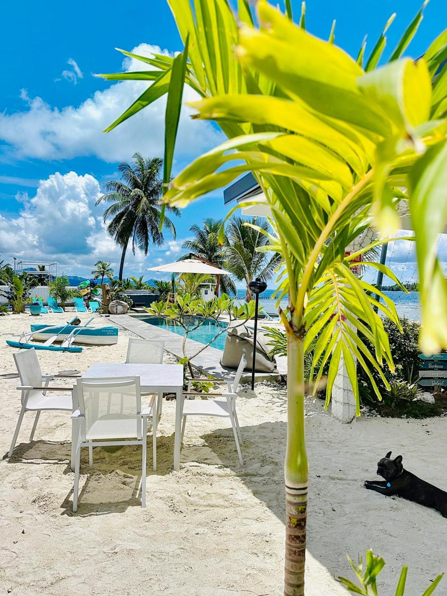 Pension Irivai, Appartement Uo Uo 3 Chambres Vue Mer Uturoa Luaran gambar