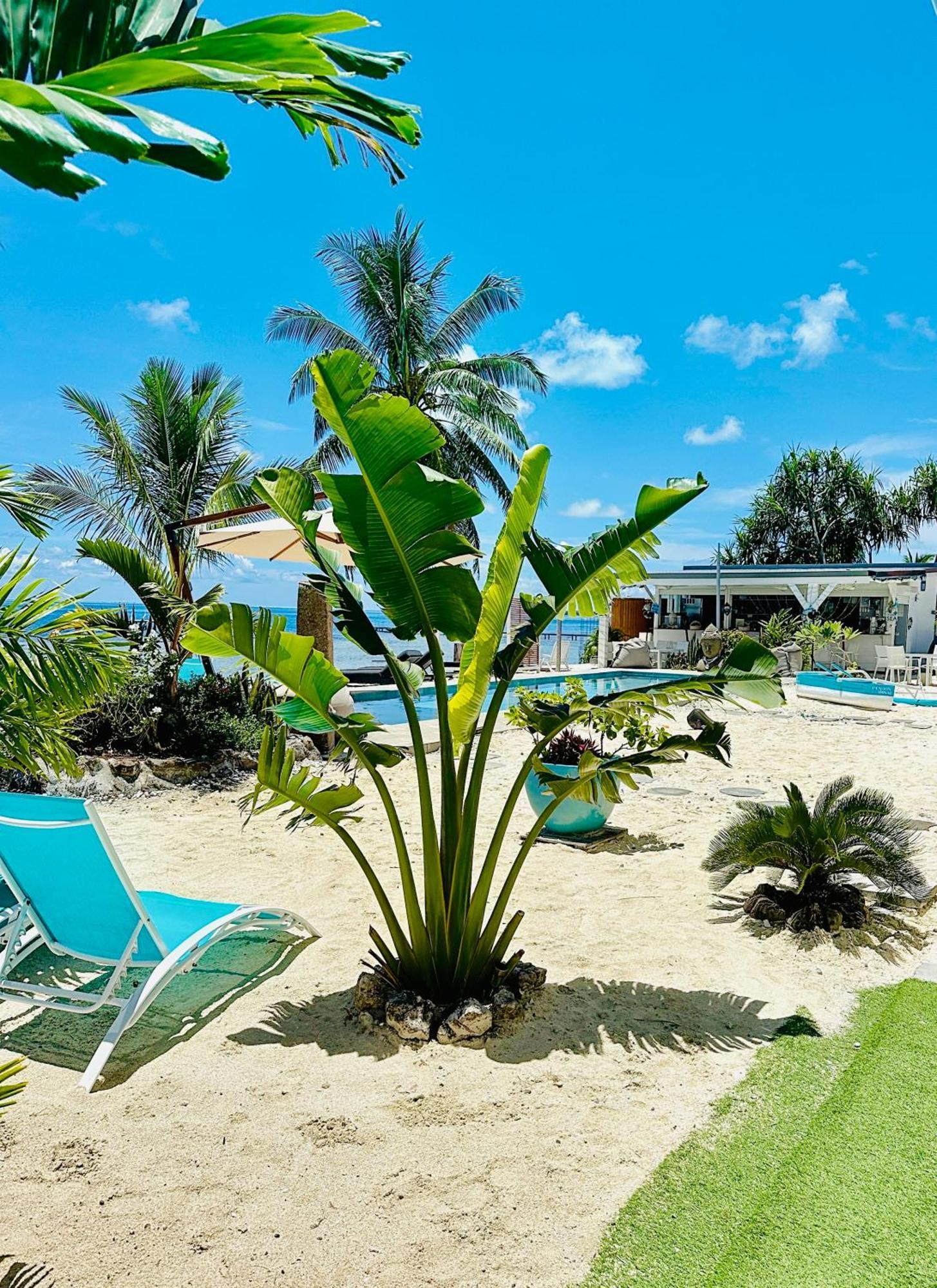 Pension Irivai, Appartement Uo Uo 3 Chambres Vue Mer Uturoa Luaran gambar